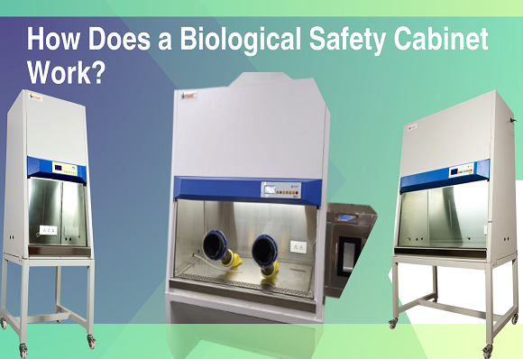 BIOSAFETY CABINET Manufacture by Imset